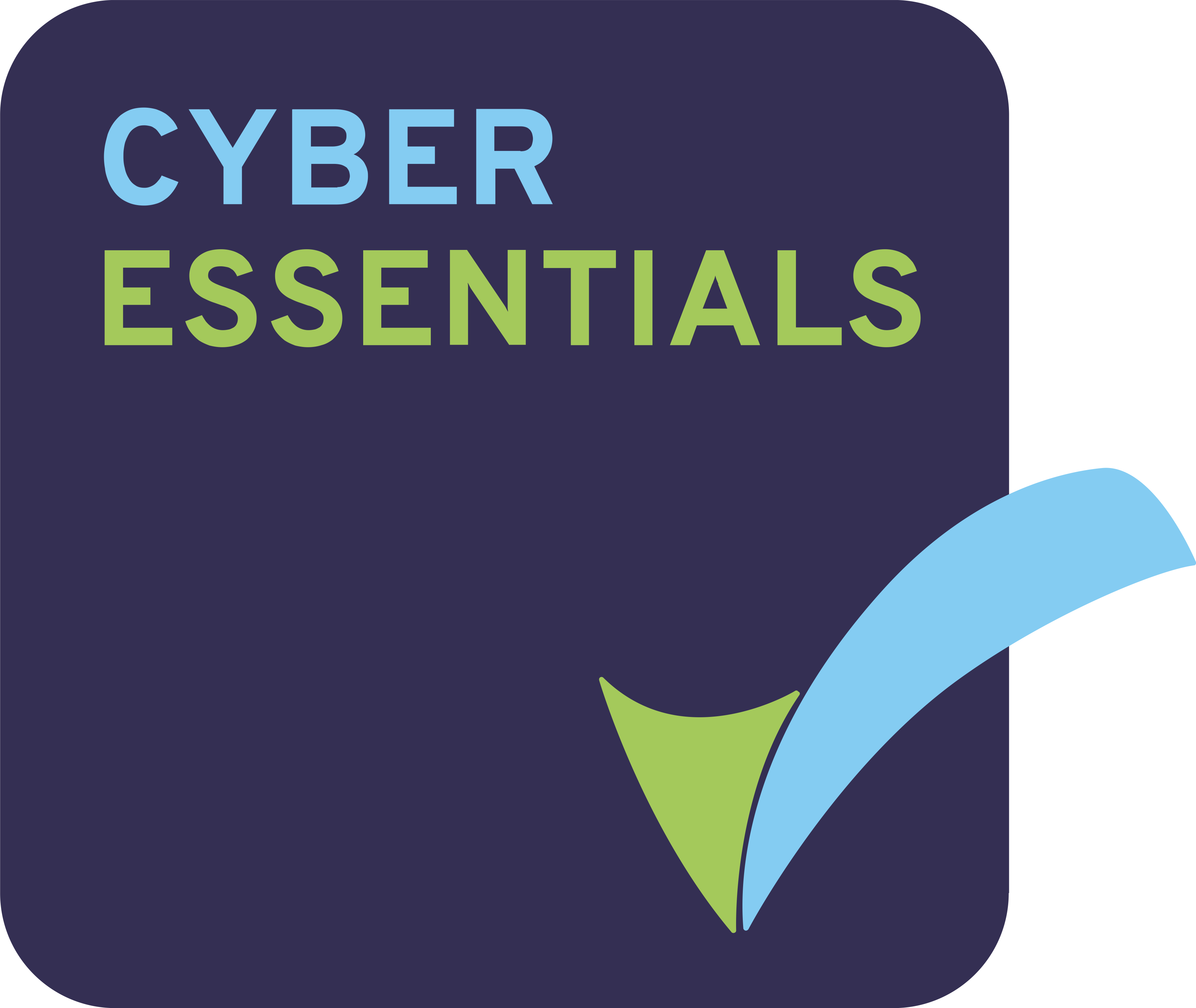 Cyber essentials logo