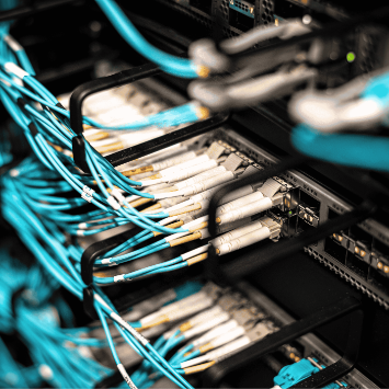 Fibre optic patch cables plugged into an optical network switch